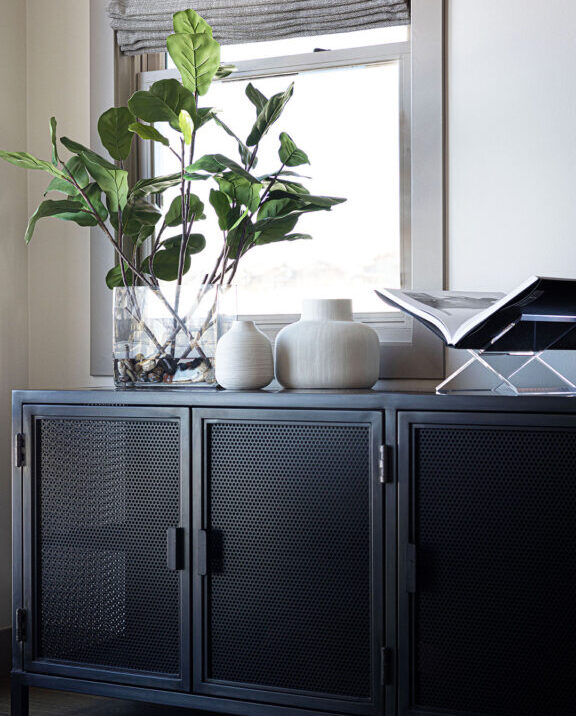 Mountain View Interior Design